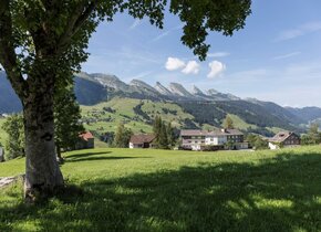 Swiss Mountain Retreat Yoga & Wandern
4. - 13....