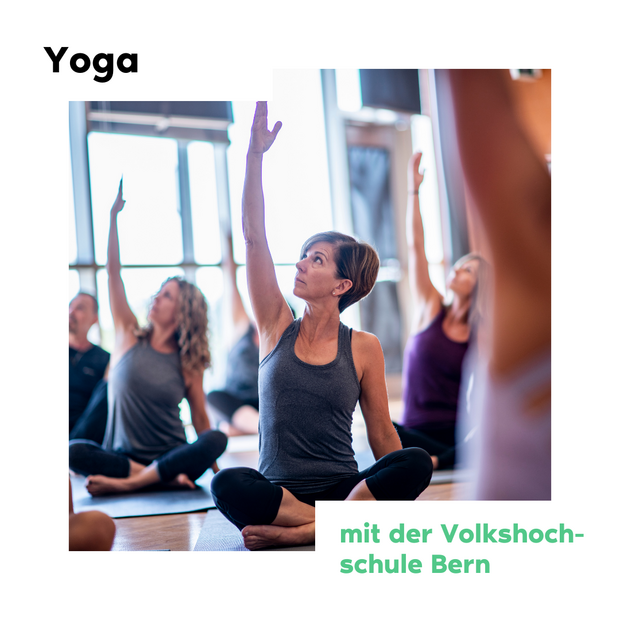 Yoga für Anfänger:innen