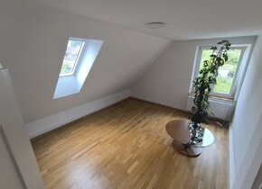 5 Zimmer Wohnung, Mitbewohner/-in gesucht (25J. - 40J.)