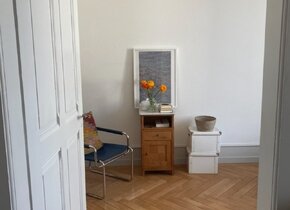 Schöne 2-Zimmer Wohnung im Breitenrain zur Untermiete...