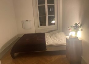 Schöne 2-Zimmer Wohnung im Breitenrain zur Untermiete...