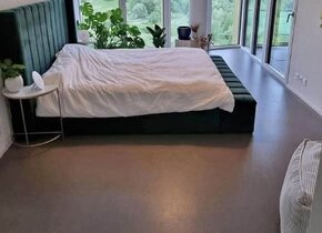 Untermiete 4.5 Zimmer Wohnung Dezember 2024 bis mitte...