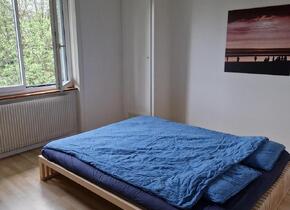 Möblierte 3.5 Zimmer Wohnung Nov/Dez 2024