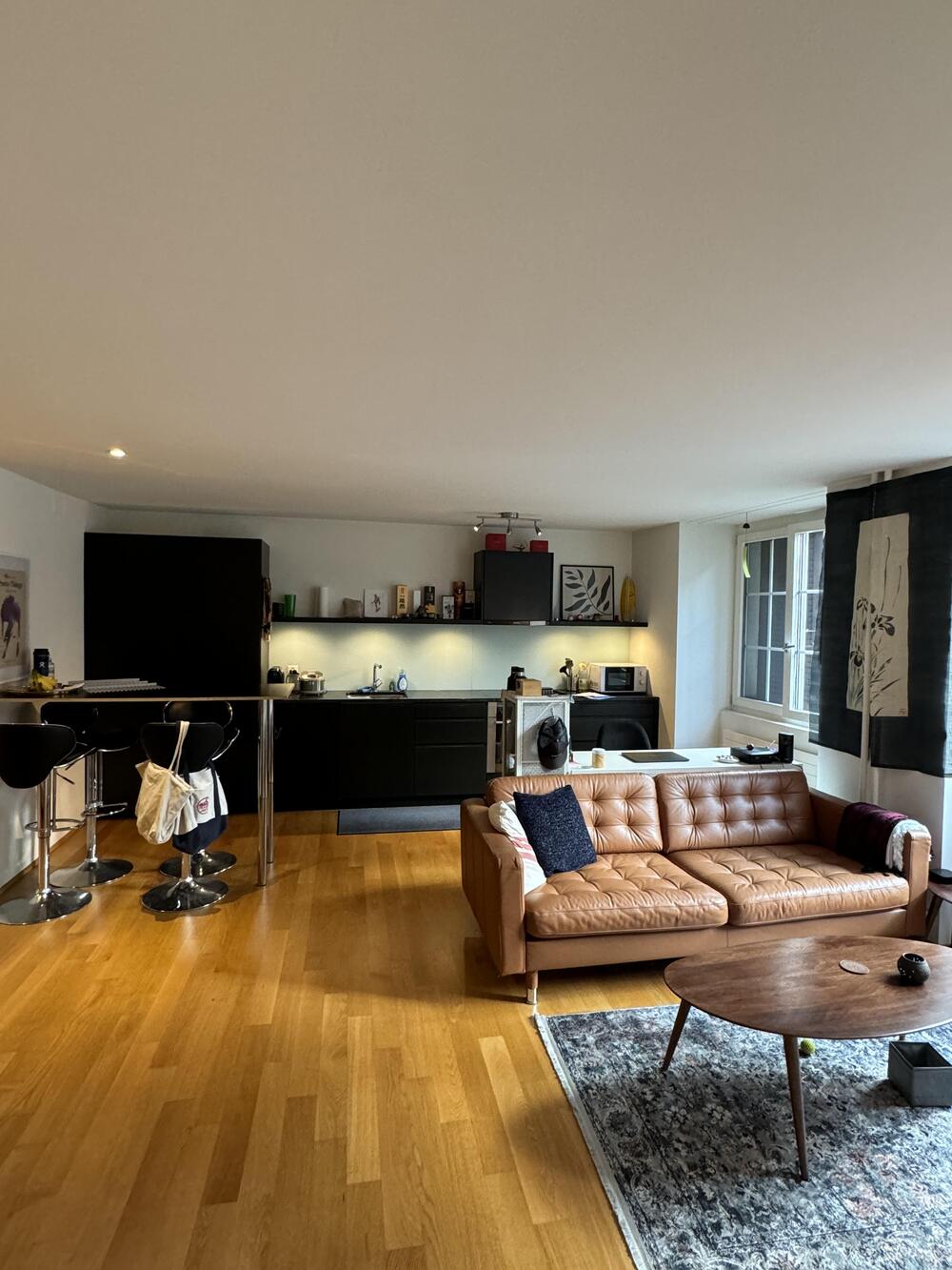 1.5 bedroom modern apartment in the heart of Zurich...