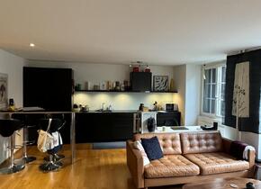 1.5 bedroom modern apartment in the heart of Zurich...