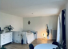 Zentrale und cozy 1.5 Zimmer Wohnung (ca. 24.10-27.11.24