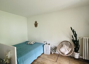 Zentrale und cozy 1.5 Zimmer Wohnung (ca. 24.10-27.11.24