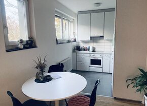 Zentrale und cozy 1.5 Zimmer Wohnung (ca. 24.10-27.11.24