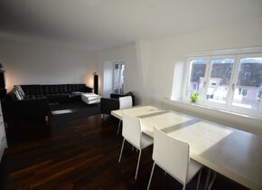 Sunny Apartment in Zürich Wiedikon