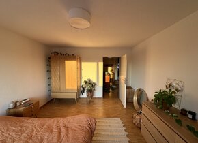 Helle und vollmöblierte 2.5-Zimmer-Wohnung im Kreis 3 /...