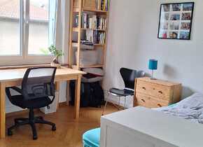 WG Zimmer / 3.5 Zi Wohnung