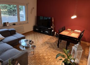 2-Zimmer Wohnung Zentrum Thun zur Untermiete