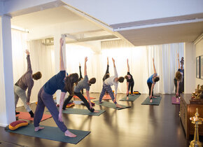 Satyananda Yoga Workshop Januar 2025