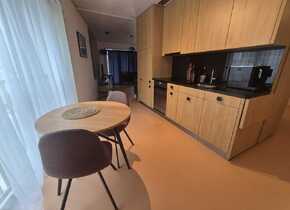 Apartment near Triemli from Dec 1