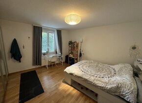 Room for rent in a shared flat in Wiedikon from 20 Oct