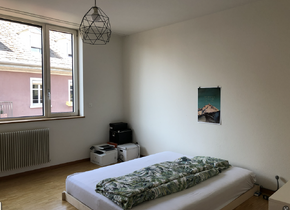 Schöne und helle 2.5-Zimmer-Wohnung an zentraler Lage...