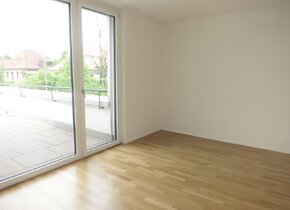 Exklusive 4.5-Zimmer-Attikawohnung in beliebtem Aarauer...