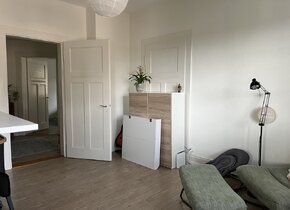 Charmante 3.5 Altbauwohnung in Wipkingen