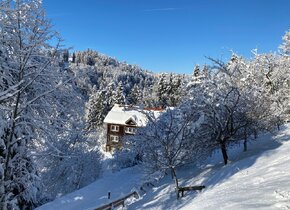 Zur Zwischenmiete Dez24 - Feb25: Haus in Trogen