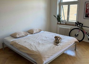 Looking for e new flatmate - 01.11.2024