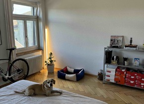 Looking for e new flatmate - 01.11.2024