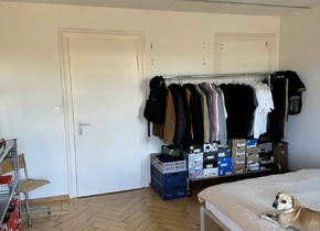 Looking for e new flatmate - 01.11.2024