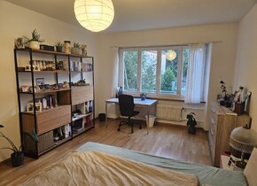 Zimmer in 2er WG ab Nov/Dez für 12-15 Monate