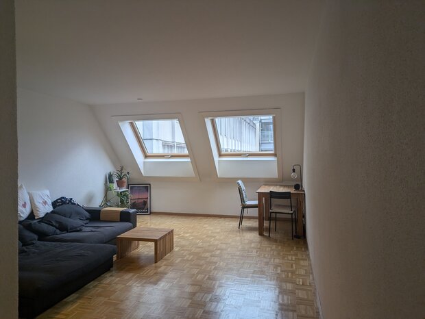 Sublease in Wipkingen 04.10.24-04.12.24 (2 Months)