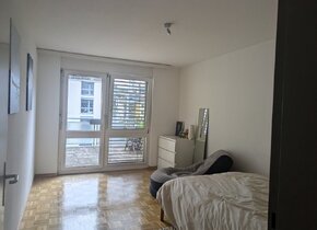 Sublease in Wipkingen 04.10.24-04.12.24 (2 Months)