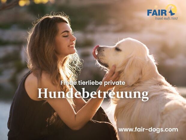 Private Hundebetreuung im Raum Basel