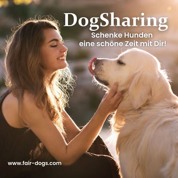 Private Hundebetreuung im Raum Bern