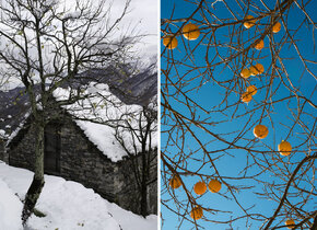 Herbst im wunderschönen Centovalli (TI)