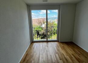 Brand new 4.5 rooms flat in Au with partial views of the...