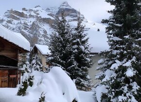 Letzte Skiwoche frei im Mürren Chalet!