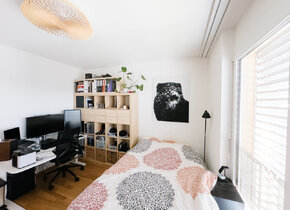 Rent a 3 ½ rooms apartment in Bern