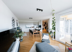 Rent a 3 ½ rooms apartment in Bern