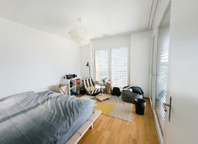 Rent a 3 ½ rooms apartment in Bern