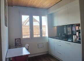 subrenting sunny, fully furnished flat