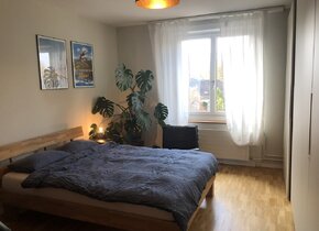 2.5-Zimmer Wohnung zur Zwischenmiete (Januar-Juni) in...