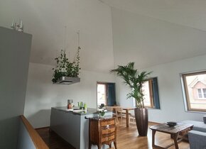 Altstadt WG-APPARTEMENT