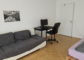 Studiowohnung nähe See Wollishofen - Tolle Lage