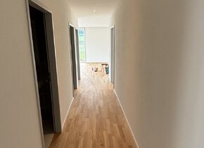 3,5 Zimmer 90m2 Attikawohnung in Boll