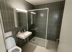 3,5 Zimmer 90m2 Attikawohnung in Boll