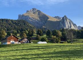 Swiss Mountain Retreat 7. - 13. Oktober
Yoga & Wandern