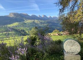 Swiss Mountain Retreat 7. - 13. Oktober
Yoga & Wandern