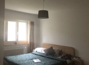 grosses Zimmer frei/ Mitbewohner/in gesucht ab sofort...