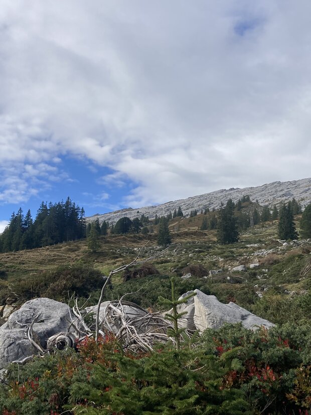 Zu den Kratzspuren des Höllenfürsten - 
Herbstwanderung im Entlebuch