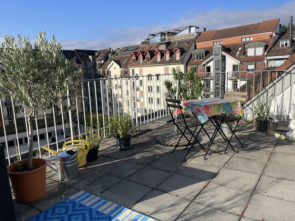 2.5-Zi. Dachwohnung mit privater Terrasse