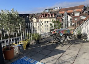 2.5-Zi. Dachwohnung mit privater Terrasse