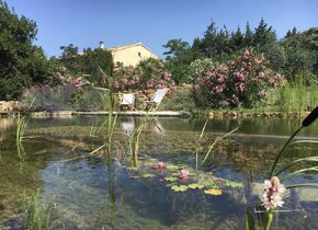 *Herbstferien in der Provence*, - gut erreichbar und doch...